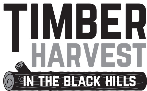 Hill City sawmill closure causes massive economic losses to region